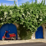 Djerba à vélo : Parcourez l'île perle à deux roues - Tunisia Go Travel