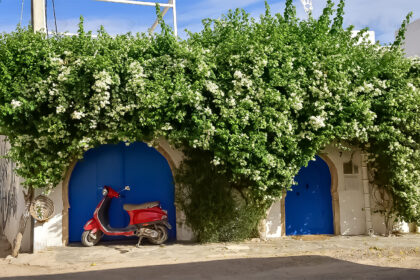 Djerba à vélo : Parcourez l'île perle à deux roues - Tunisia Go Travel