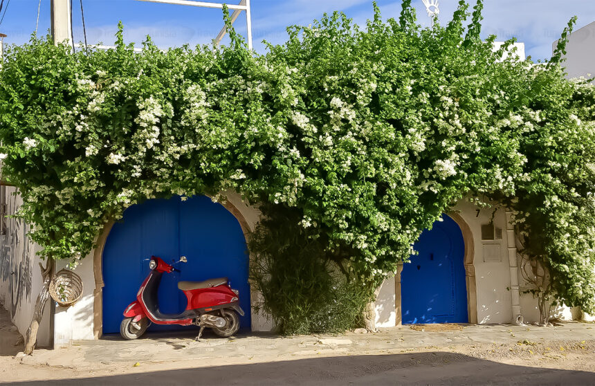 Djerba à vélo : Parcourez l'île perle à deux roues - Tunisia Go Travel