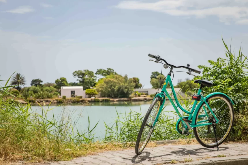 Djerba à vélo